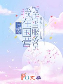 七零:我在国营饭店当服务员