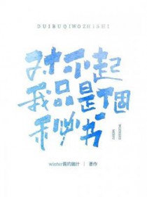 对不起,我只是个秘书