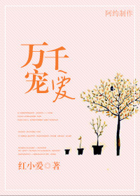 万千宠爱(虐男主)