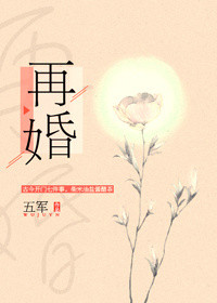 再婚(耽美)