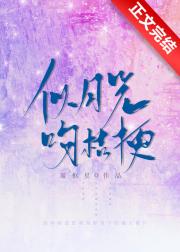 ���¹��ǽ۹�