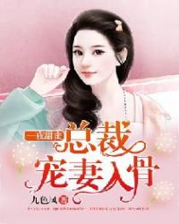 一夜甜蜜:总裁宠妻入骨