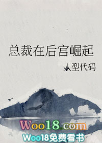 总裁在后宫崛起(穿越)