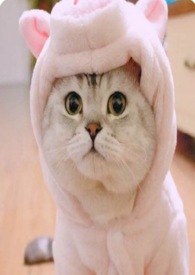 吃掉扫黄小网警(1v1小甜饼)