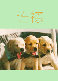 连襟(人格分裂1V3 h)