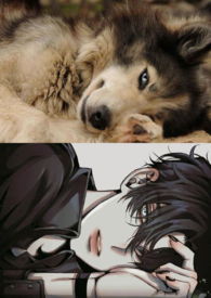 �󽿣�NPH��ͼ��