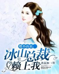 婚不由衷:冰山总裁赖上我