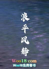 浪平风静(出轨)