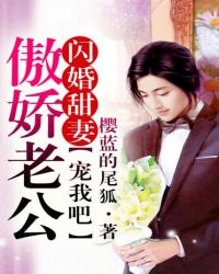 闪婚甜妻①傲娇老公,宠我吧