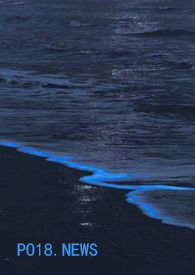 ���ﻨ��Ű��Ű����