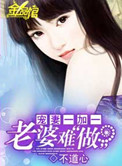 宠妻一加一:老婆难做