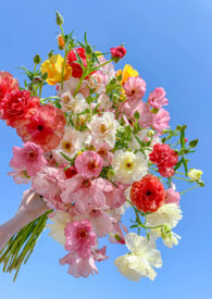 她是一朵难养的花(兄妹骨科h)