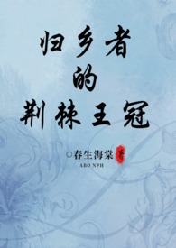 归乡者的荆棘王冠(abo、np)