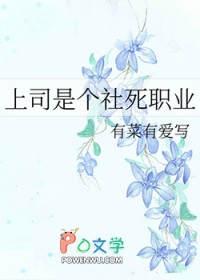 ��˾�Ǹ�����ְҵ